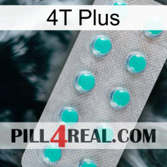 4T Plus 28